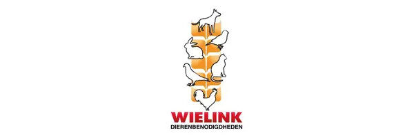 Wielink vanaf nu in dgeDataretail